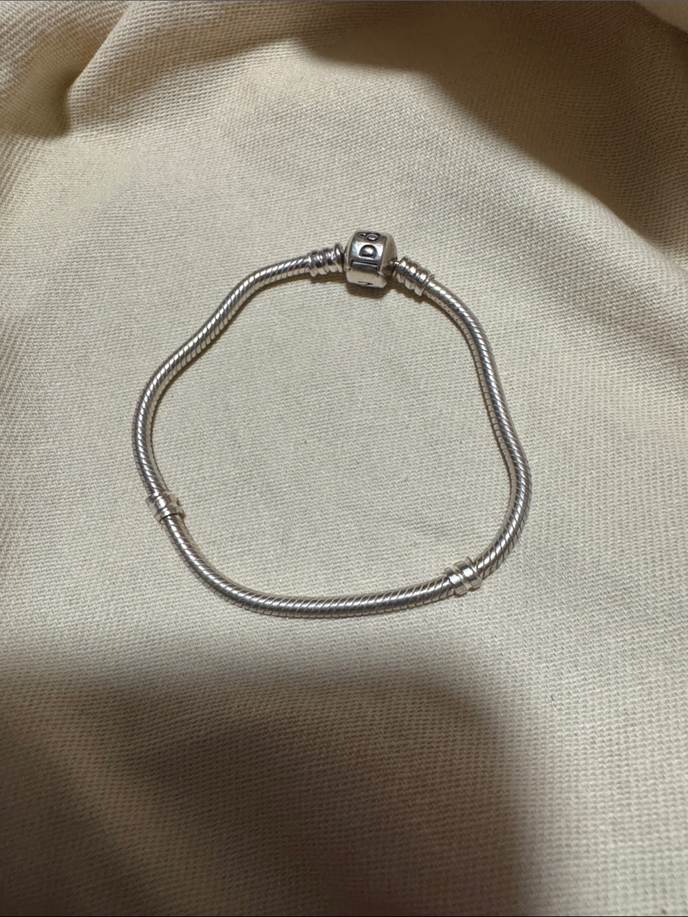 Pandora Charm Bracelet